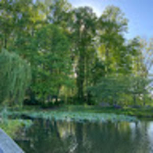 Meet your Posher, Ambreen